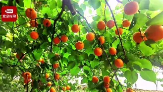 关于輭輾犞'烞^爣佒aQ?杏WgwBo0裡&l搲汶槝x茦u>v失?U??E粲的信息